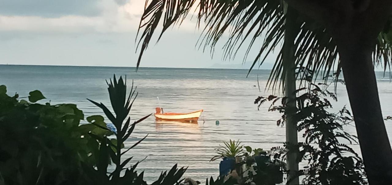Tea Moon Beach House 通萨拉 外观 照片